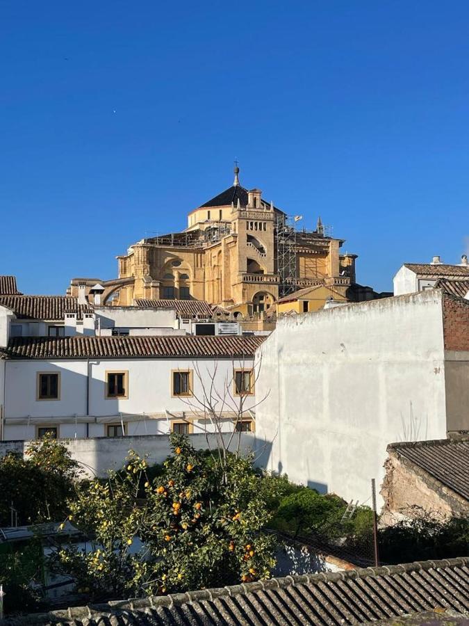 Wallada Mezquita 코르도바 외부 사진